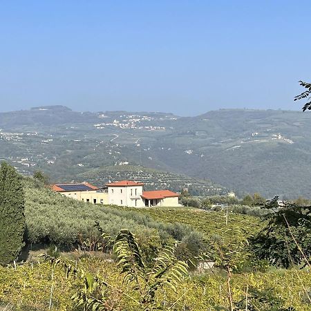 Suite La Torretta - Ca' Del Volo Grezzana Eksteriør bilde